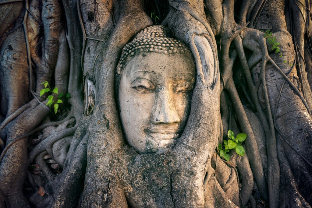 Albero con viso scolpito tra i rami