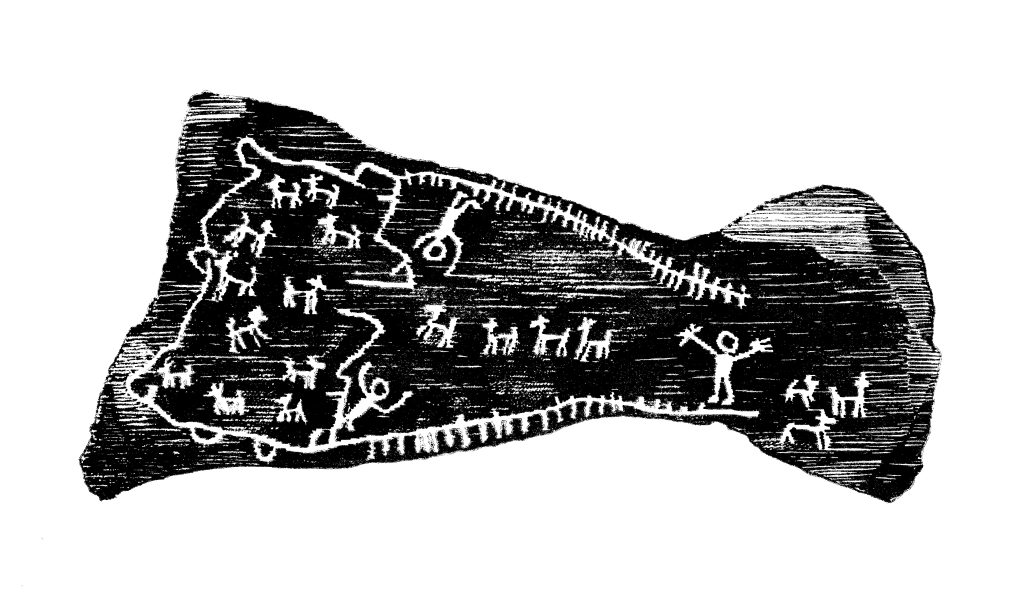 Disegno di Michele Napoli