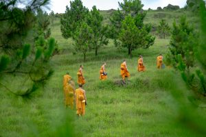 Monaci buddhisti in cammino