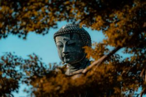 Immagine Buddha, Foto di Sun Hung per Unsplash