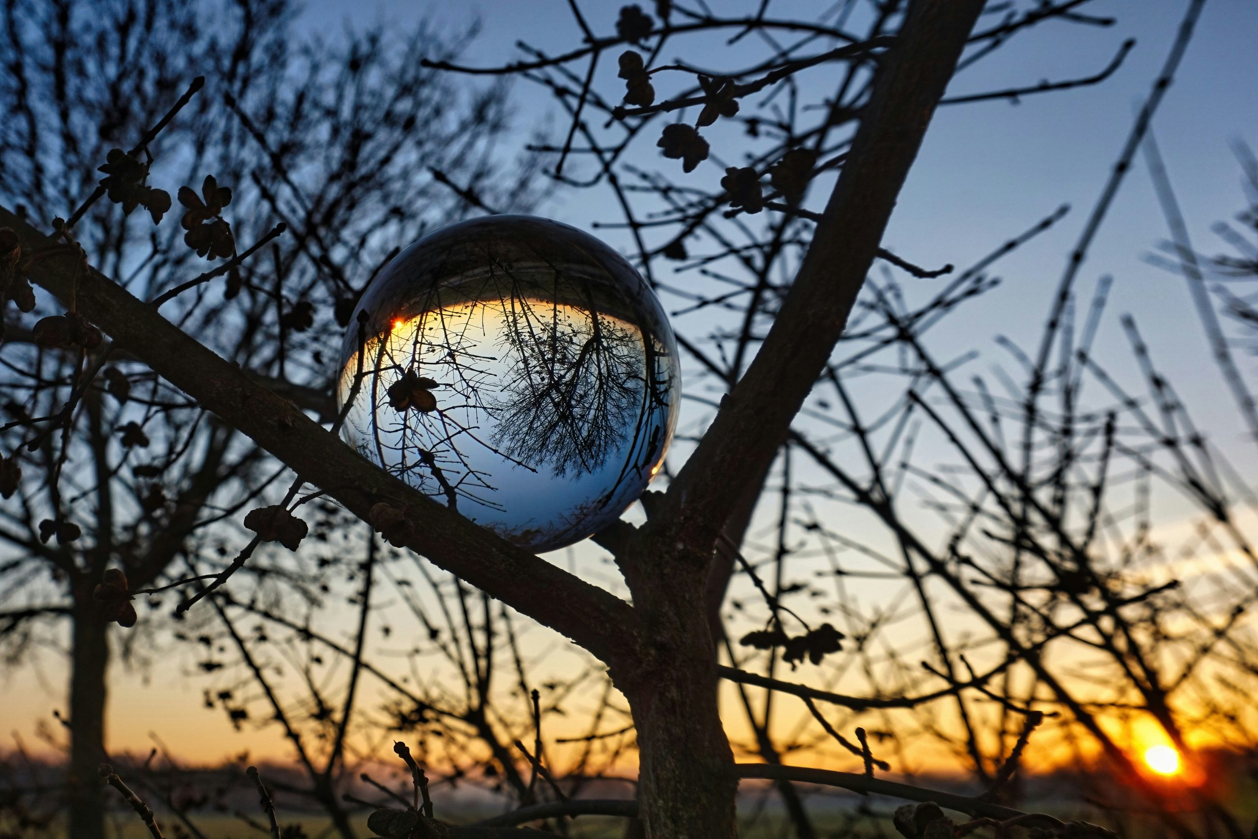 Tramonto e alberi